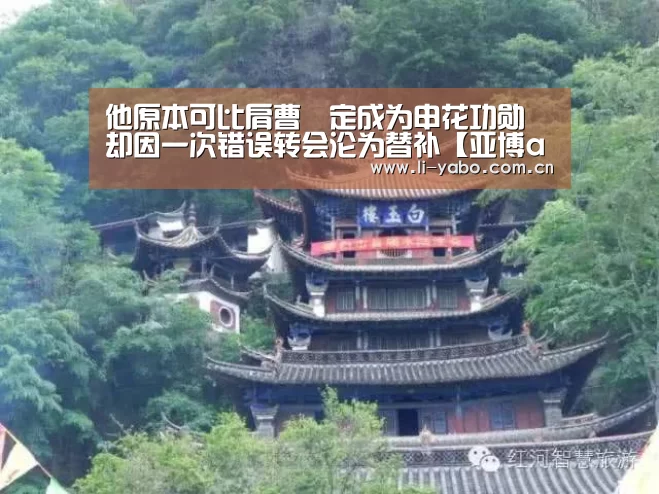 他原本可比肩曹赟定成为申花功勋 却因一次错误转会沦为替补【亚博app】(图1) 亚博